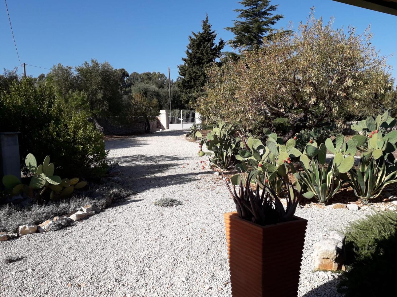 Masseria Due Torri Monopoli Quarto foto
