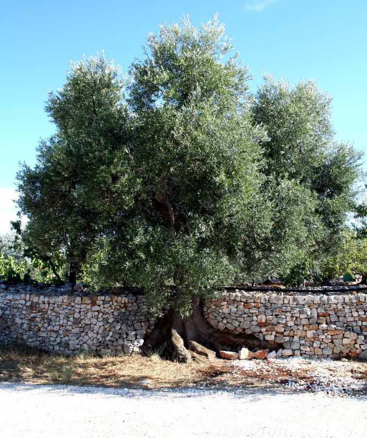 Masseria Due Torri Monopoli Exterior foto